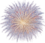 Firework Blue - $90