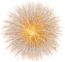 Firework Red - $100