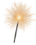 Sparkler - $60